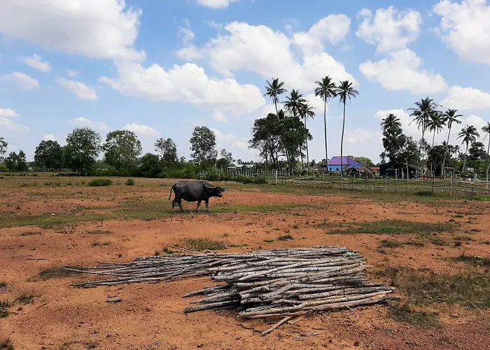 Cornerstone Nesat In Nesat Village
