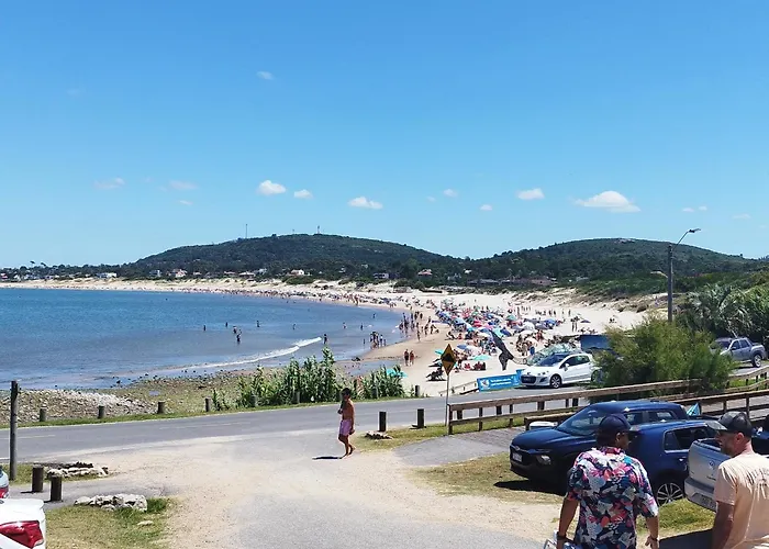 Bosque Las Delfinas