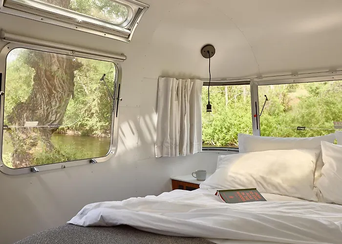Autocamp Sequoia