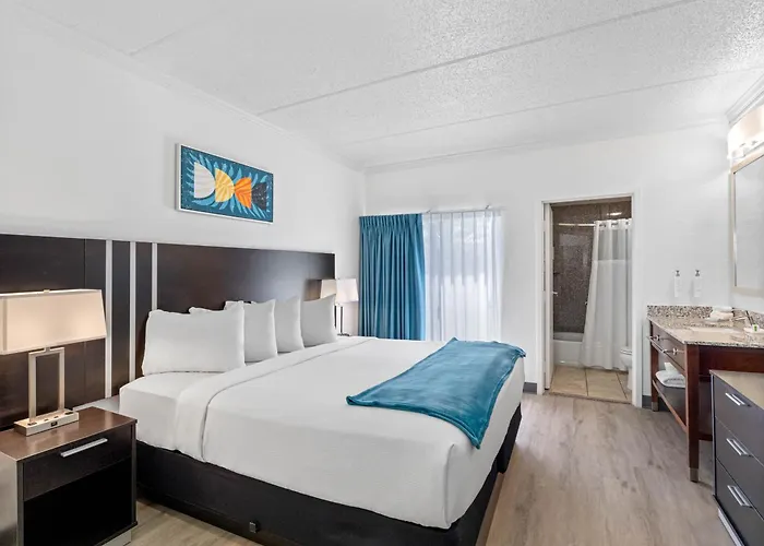 Oasis Bay Suites, Tampa, Busch Gardens, Usf