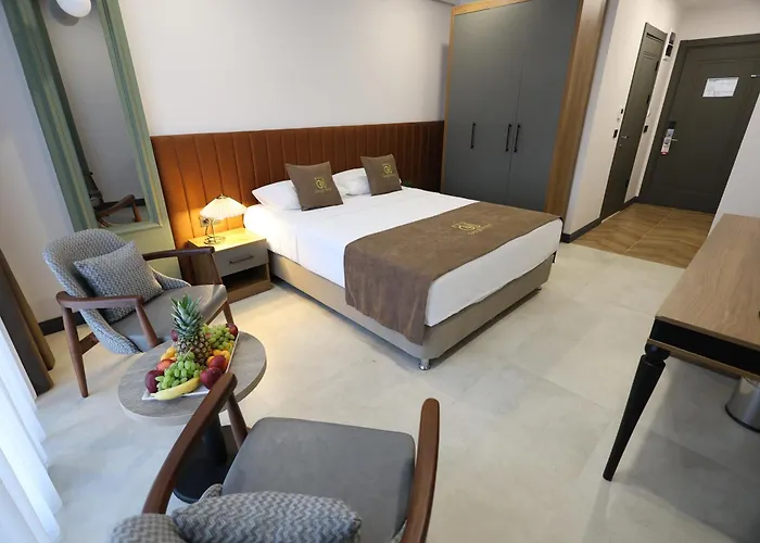 Edirne Gezgin Hotel