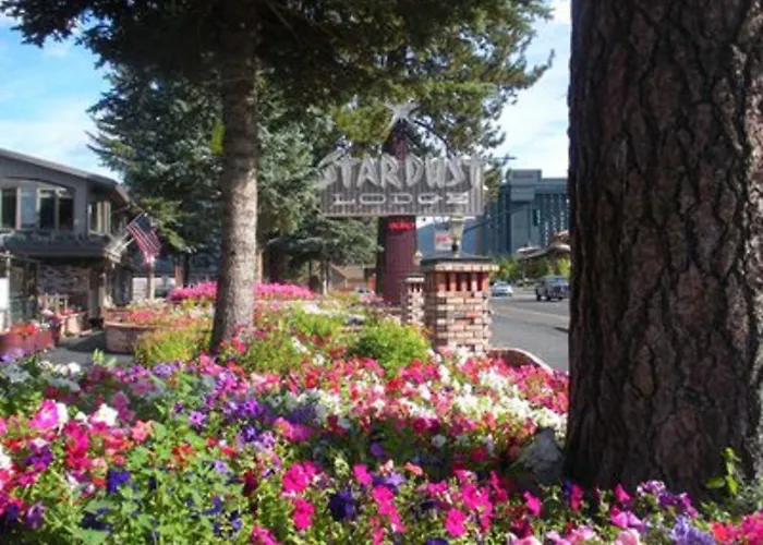 Stardust Lodge