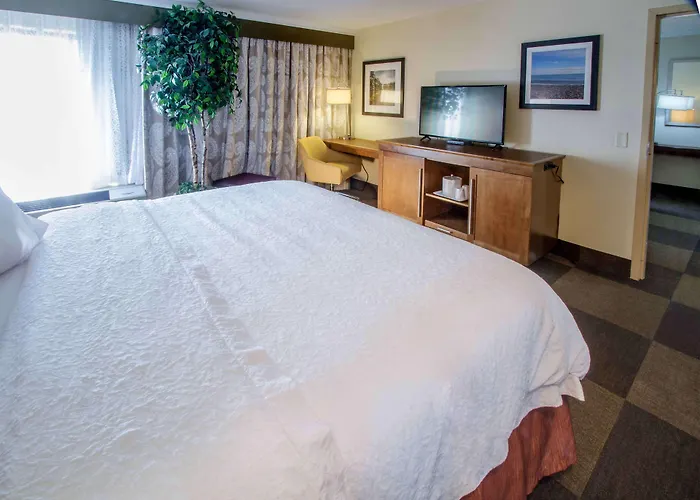 Hampton Inn South Haven