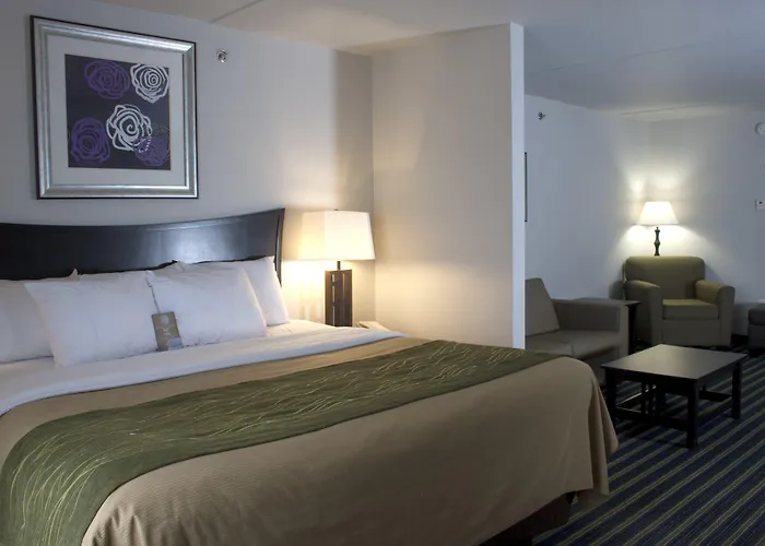 Comfort Inn & Suites Moose Jaw