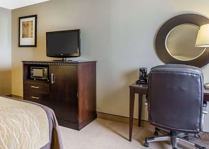 Comfort Inn & Suites Near Tinley Park Amphitheater