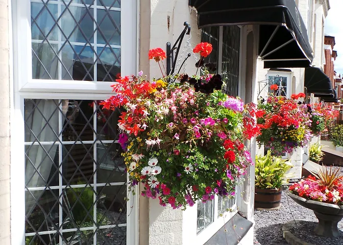 Brookside Hotel & Residents Bar , Cozy Lounge Areas & Terrace ,Suitable For Solo Travelers Couples Educational Groups Families & Contractors Welcome