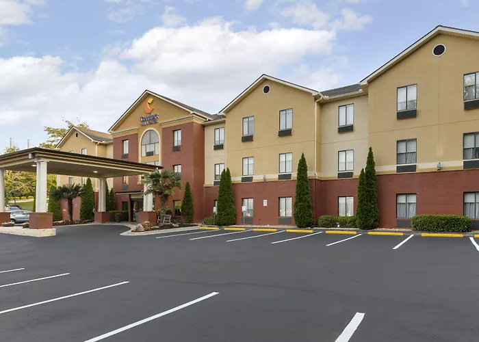 Comfort Inn & Suites Canton Riverstone Area