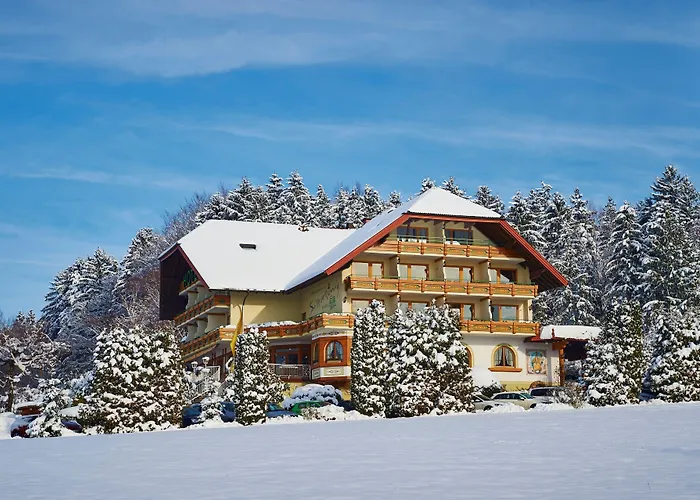 Silberkönig Schwarzwald Hotel&Restaurant Ringhotel