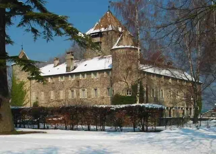 Chateau De Coudree - Les Collectionneurs