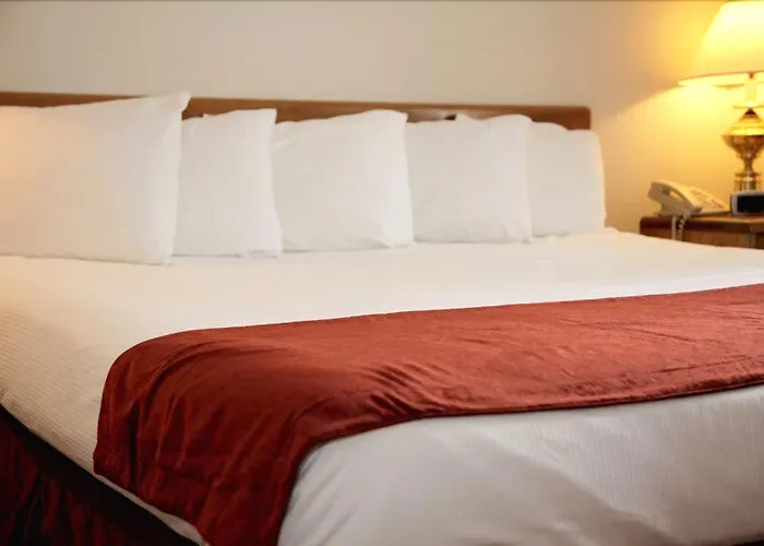 Albatross Hotel