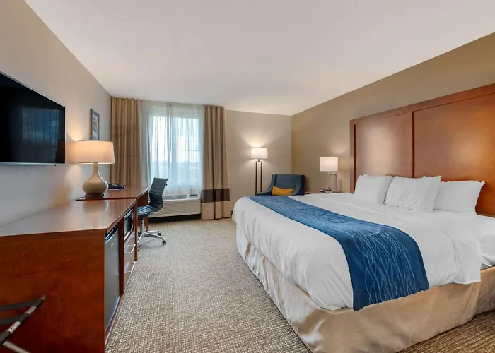 Comfort Inn Anderson South