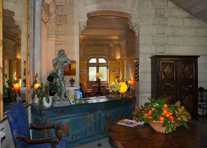 Chateau-Hotel De Nieuil