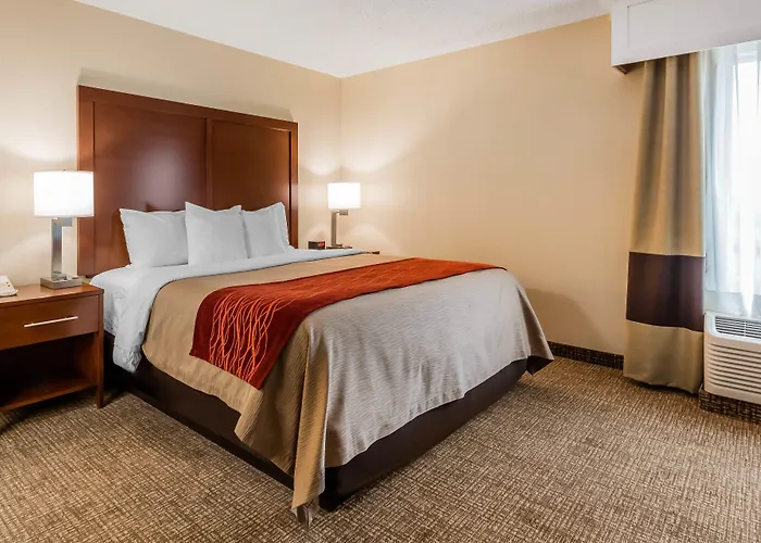 Comfort Inn & Suites Little Rock Airport