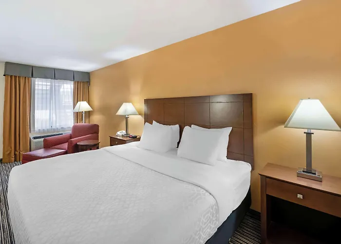 Best Western Snyder Inn