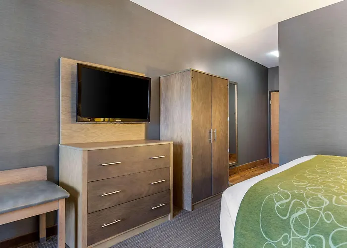 Comfort Suites Southgate-Detroit