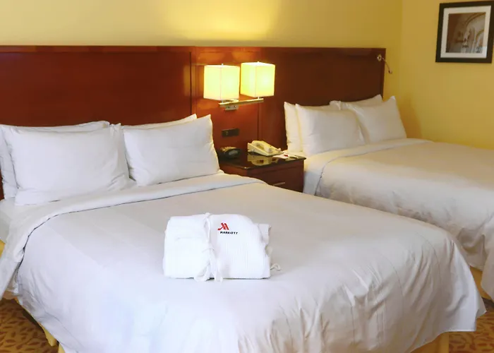 St. Petersburg Marriott Clearwater