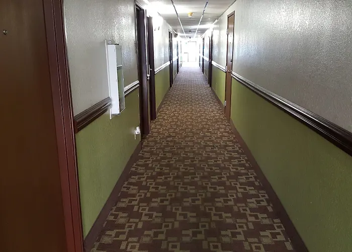 Super 8 By Wyndham Harlingen Tx