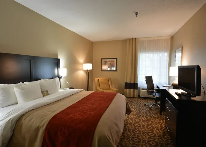 Comfort Inn & Suites Trussville I-59 Exit 141