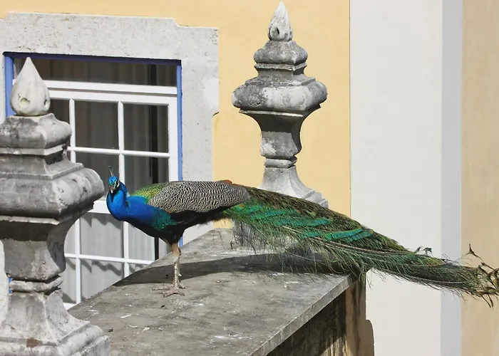 Heritage Solar Do Castelo Inn - Alfama