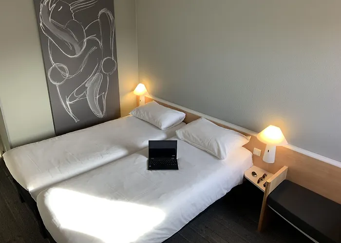 Ibis Auray