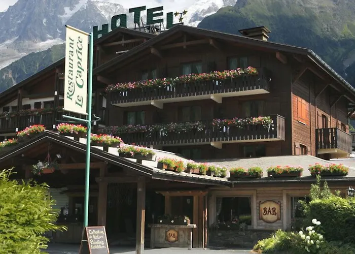 Chalet Hôtel du Bois