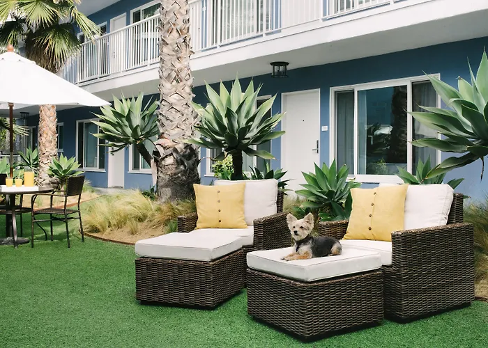 Bayside Hotel