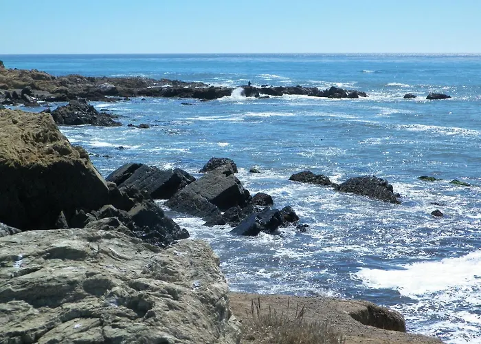Sea Otter Inn