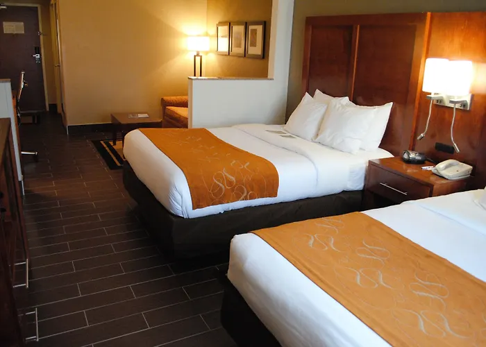 Comfort Suites Grand Rapids South
