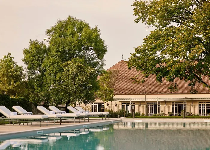 Como Le Montrachet