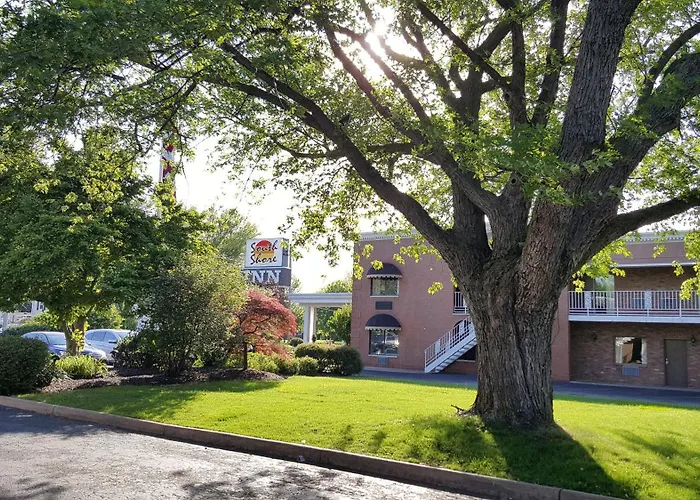 South Shore Inn