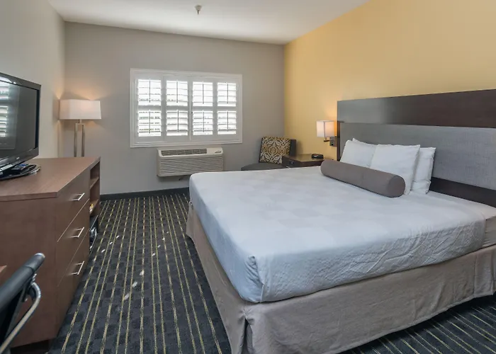 Hotel Aura Sfo Airport Free Shuttle