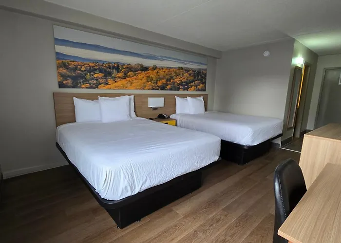 Days Inn By Wyndham Manassas Battlefield