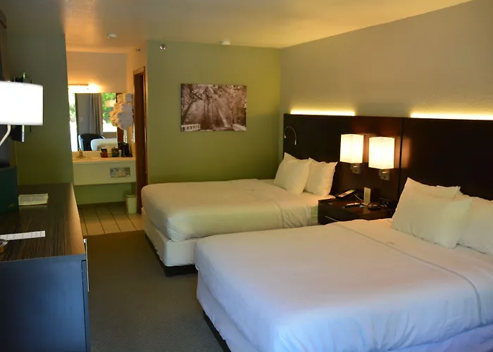 The Ozarker Lodge