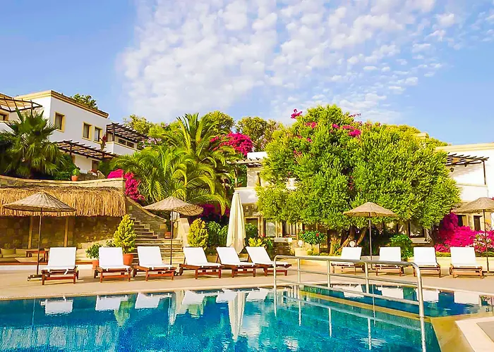 4Reasons Hotel + Bistro | 12+