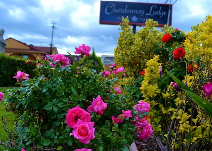 Chardonnay Lodge