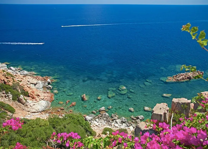 Hotel Monte Turri By Falkensteiner (Adults Only)