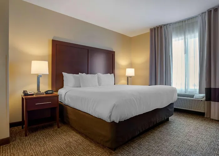 Comfort Suites Foley - North Gulf Shores