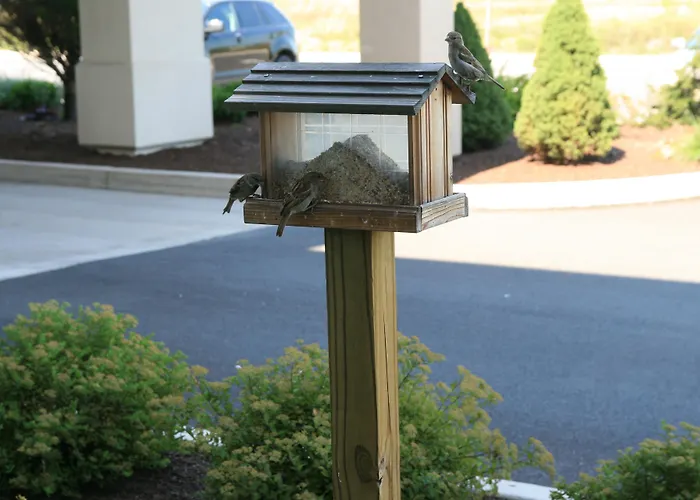 Hampton Inn Lewisburg