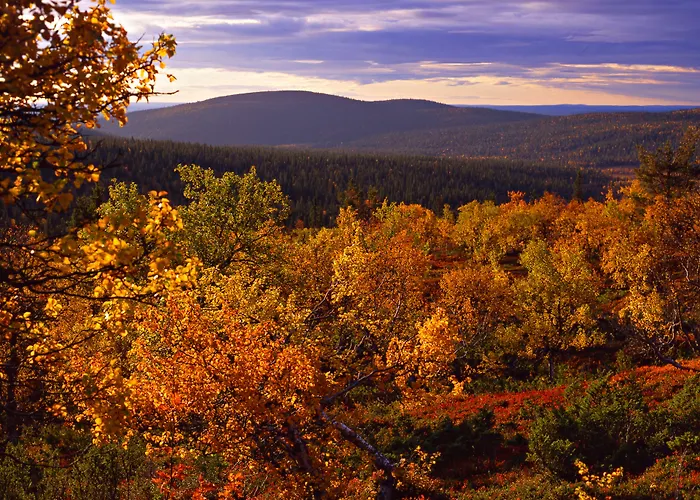 Lapland Hotels Yllaeskaltio