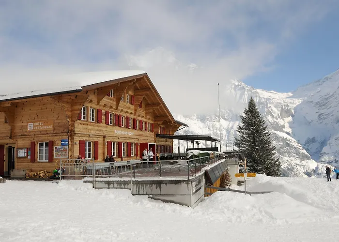 Alpinhotel Bort