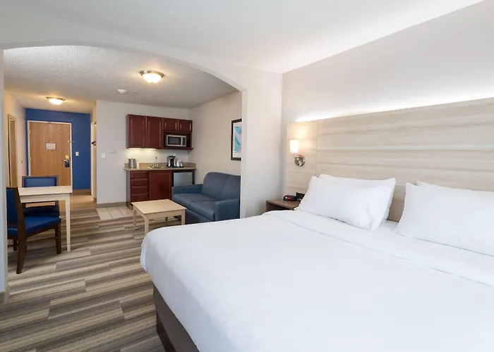 Holiday Inn Express Hotel & Suites Grand Blanc By Ihg