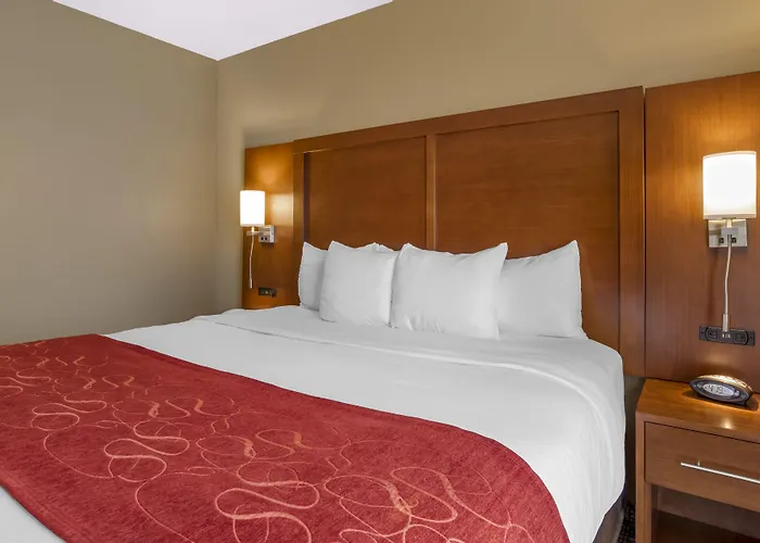 Comfort Suites Knoxville North
