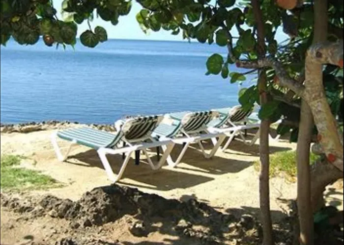 Las Rocas Resort&Dive Center
