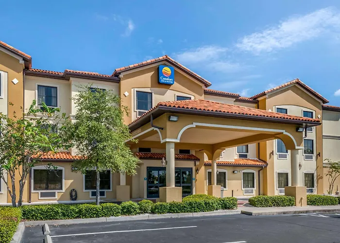 Comfort Inn & Suites Northeast - Gateway