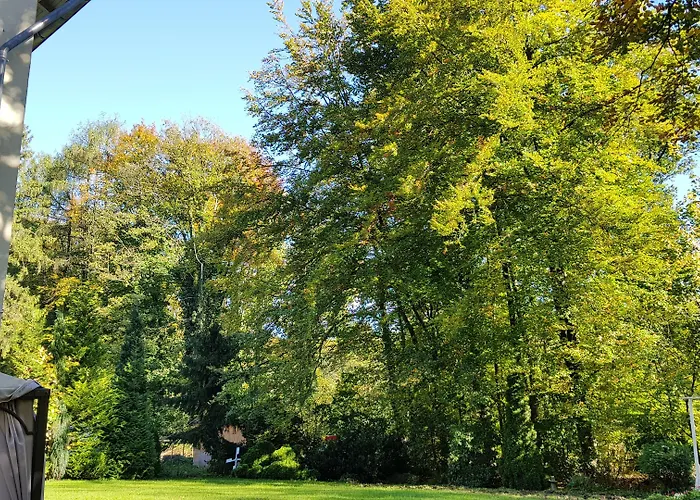 Wald-Hotel