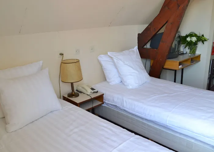 Fletcher Hotel De Zalm