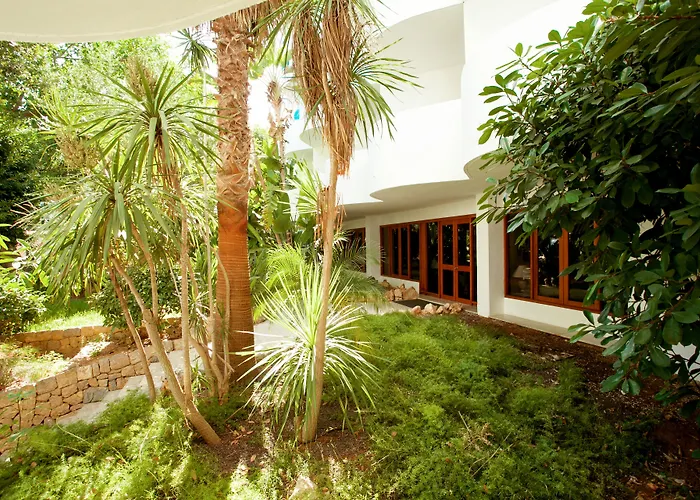 Sentido Fido Tucan - Adults Only