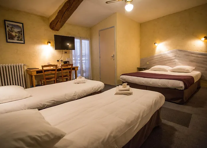Logis Hotel Du Terreau