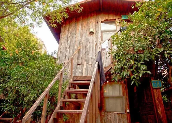 Bayrams Tree Houses