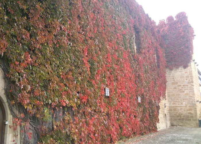 Parador De Olite